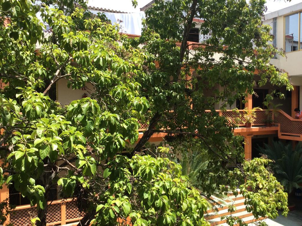 Hotel Juros Catemaco Kültér fotó